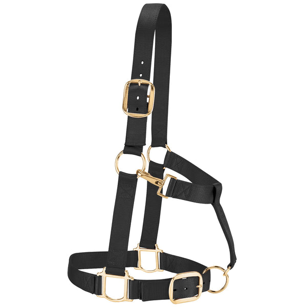 Weaver Draft Horse Halter Nylon - Average Draft Size